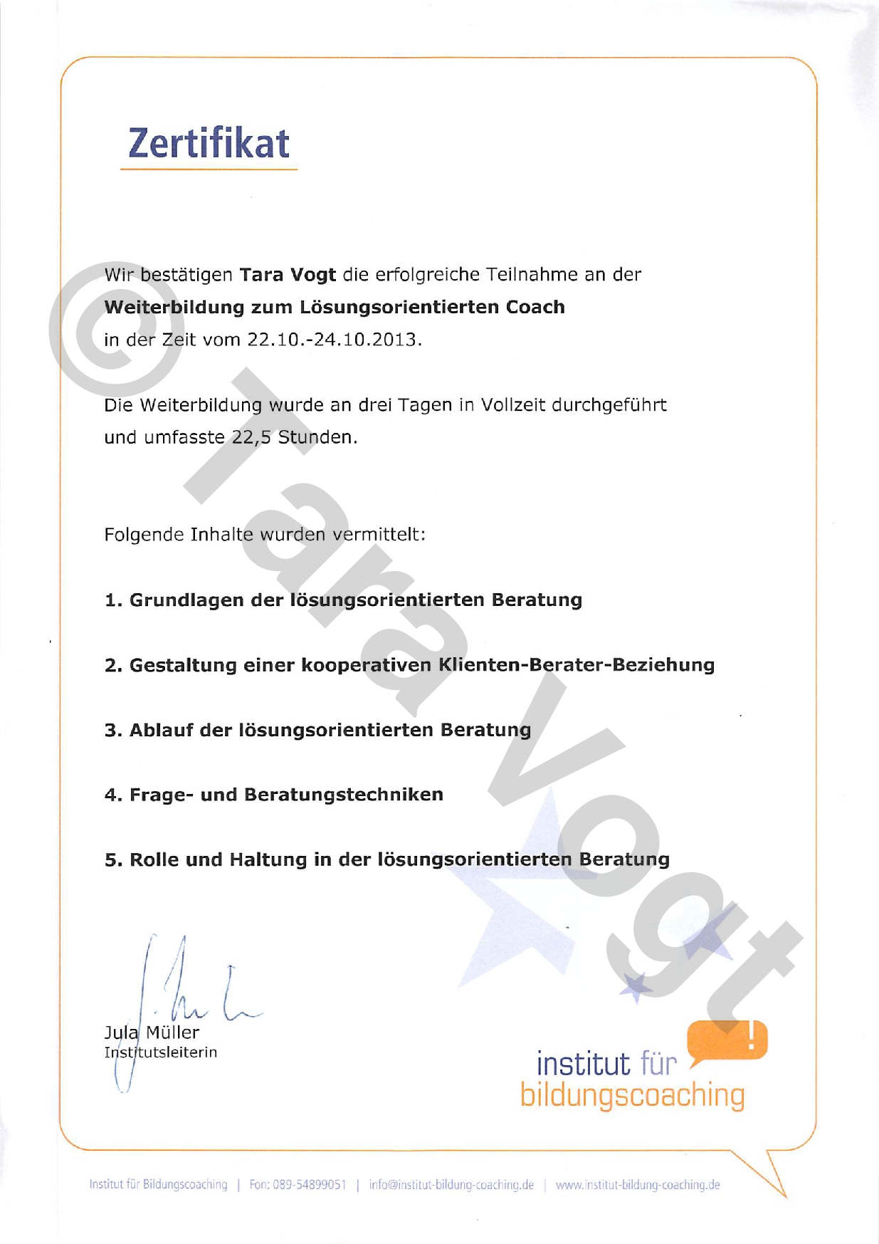 Institut_fuer_Bildungscoaching_Loesungsorentierter-Coach_2