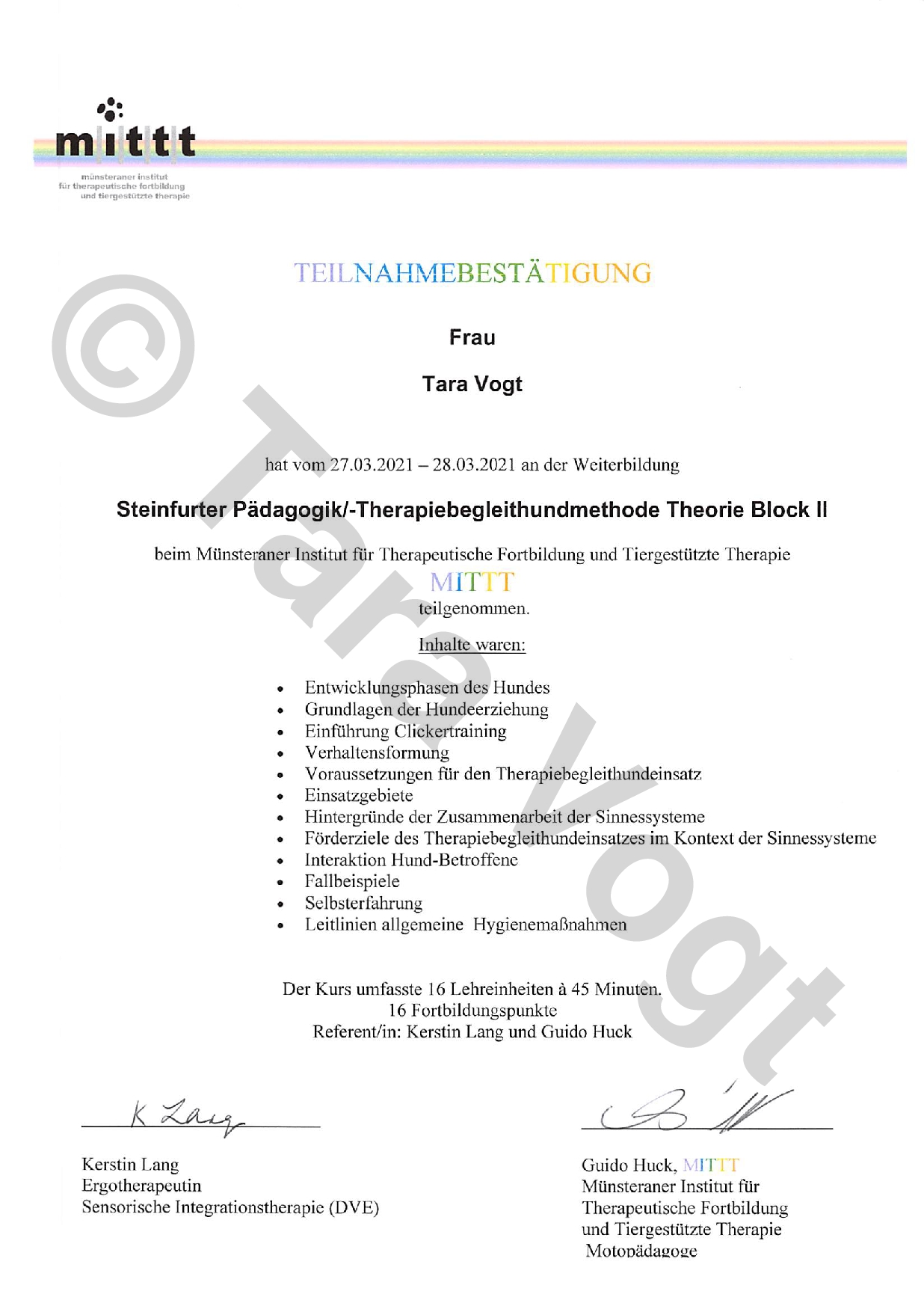 MITTT_MITTT_Steinfurter_Therapiebegleithundmethode_Theorieblock-2